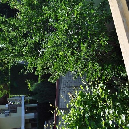 Dacha V Arkadii Hotel Odessa Eksteriør billede