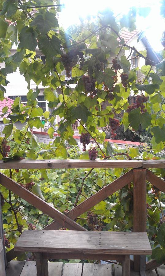 Dacha V Arkadii Hotel Odessa Eksteriør billede